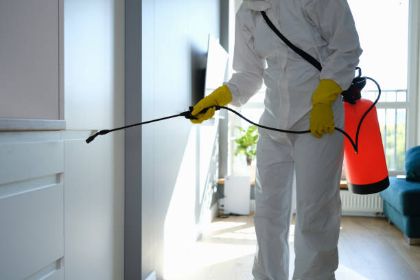 Trusted Ashton Sandy Spring, MD Mold Remediation Experts