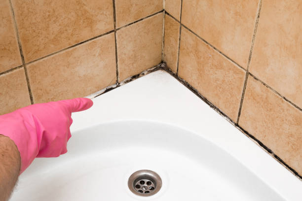 Best Post-Remediation Services in Ashton Sandy Spring, MD